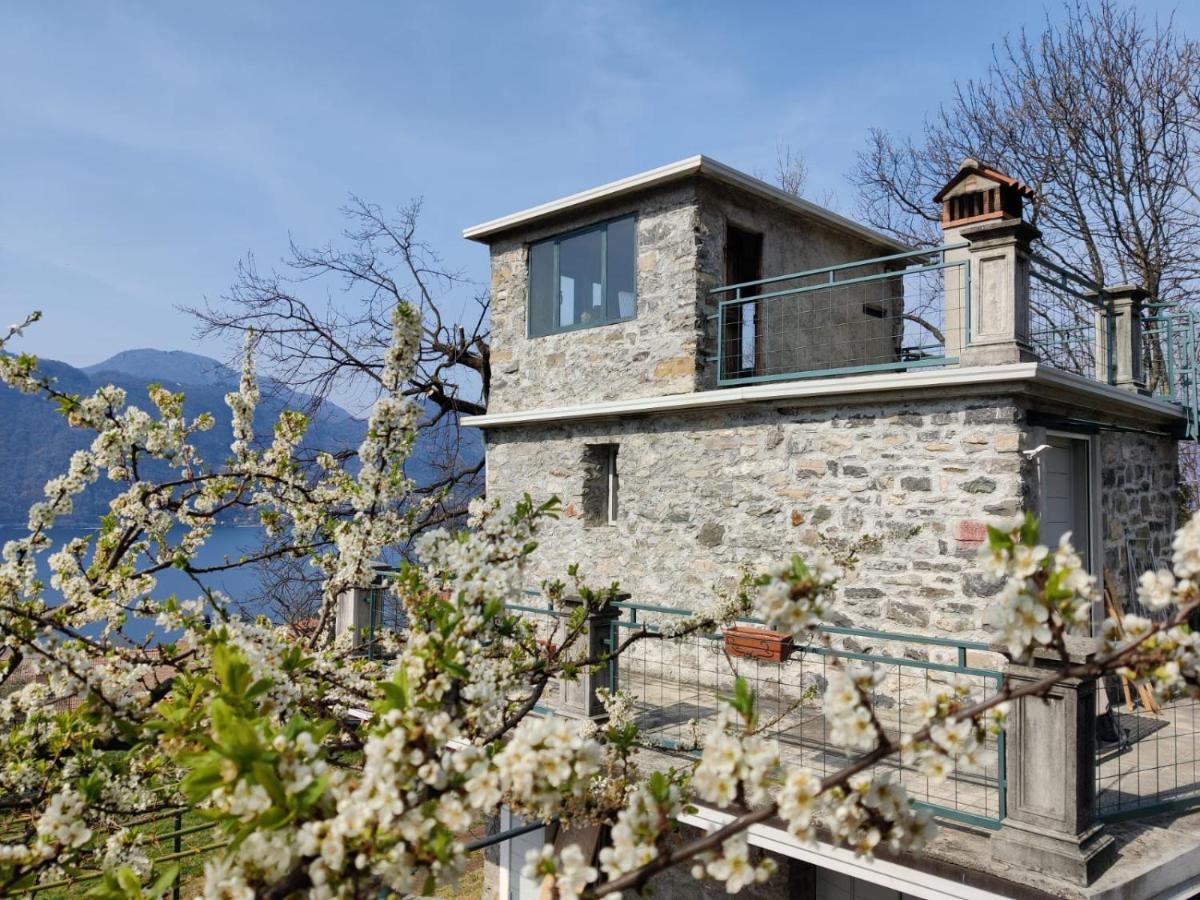 La Casetta Nel Bosco - Hot Tube And Sauna Lierna Dış mekan fotoğraf